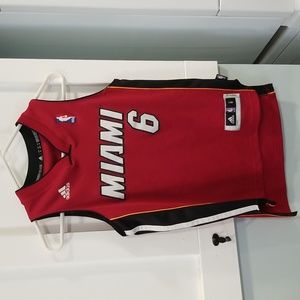 Lebron James (6) Miami Heat jersey